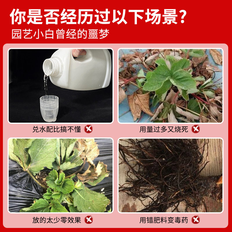 草莓专用营养液草莓肥料专用肥免稀释营养液家用盆栽有机液体肥料,淘宝优惠券,粉丝福利购,淘宝优惠卷