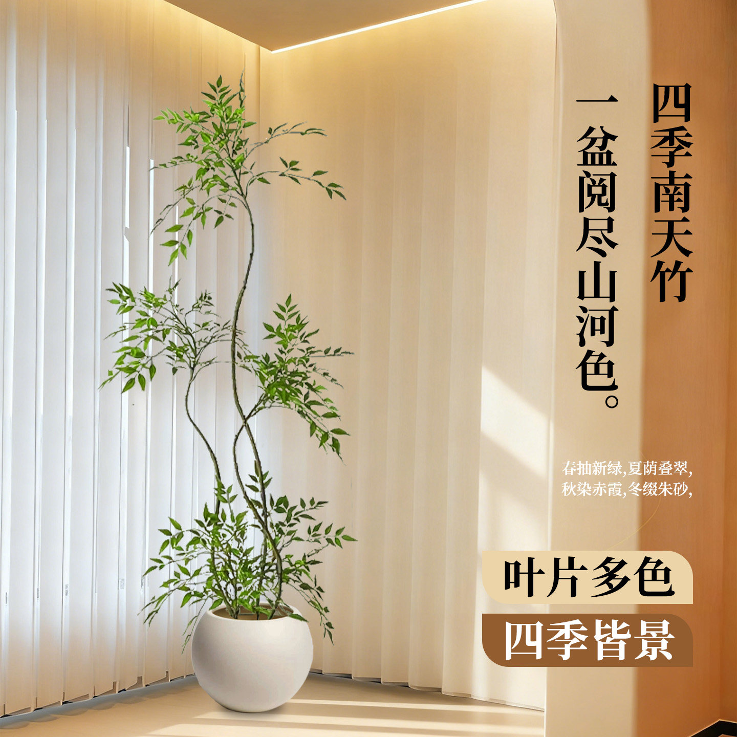 南天竹盆栽客厅大型绿植真树火焰红老桩办公室内高级感落地式大号,淘宝优惠券,粉丝福利购,淘宝优惠卷