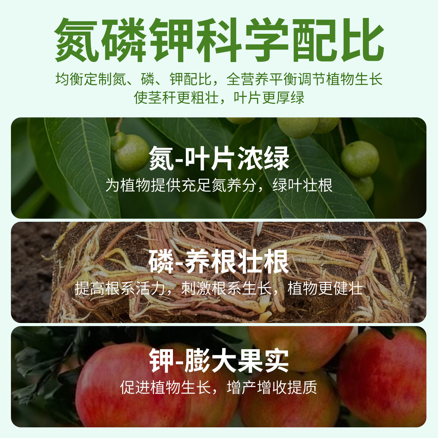 果树专用复合肥氮磷钾三元肥有机肥料颗粒肥农用营养家用盆栽化肥,淘宝优惠券,粉丝福利购,淘宝优惠卷