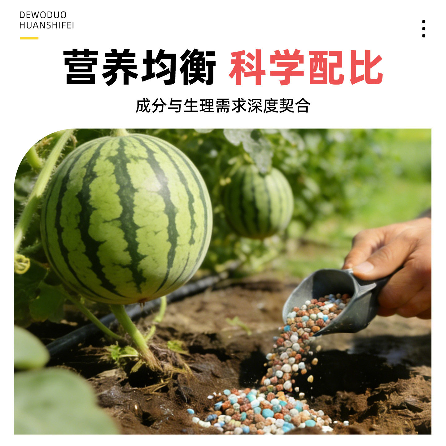 西瓜专用肥料复合肥花肥肥料通用养花肥料蔬菜农用种菜花卉专用,淘宝优惠券,粉丝福利购,淘宝优惠卷