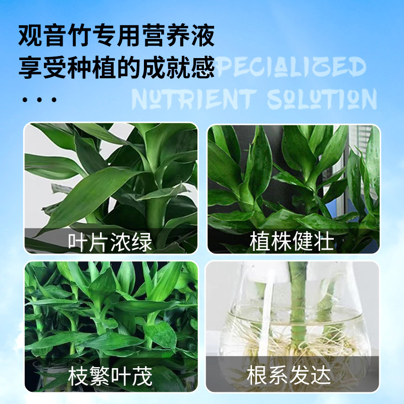 观音竹专用肥料营养液专治枯叶黄叶富贵竹水培植物营养液专用肥料,淘宝优惠券,粉丝福利购,淘宝优惠卷