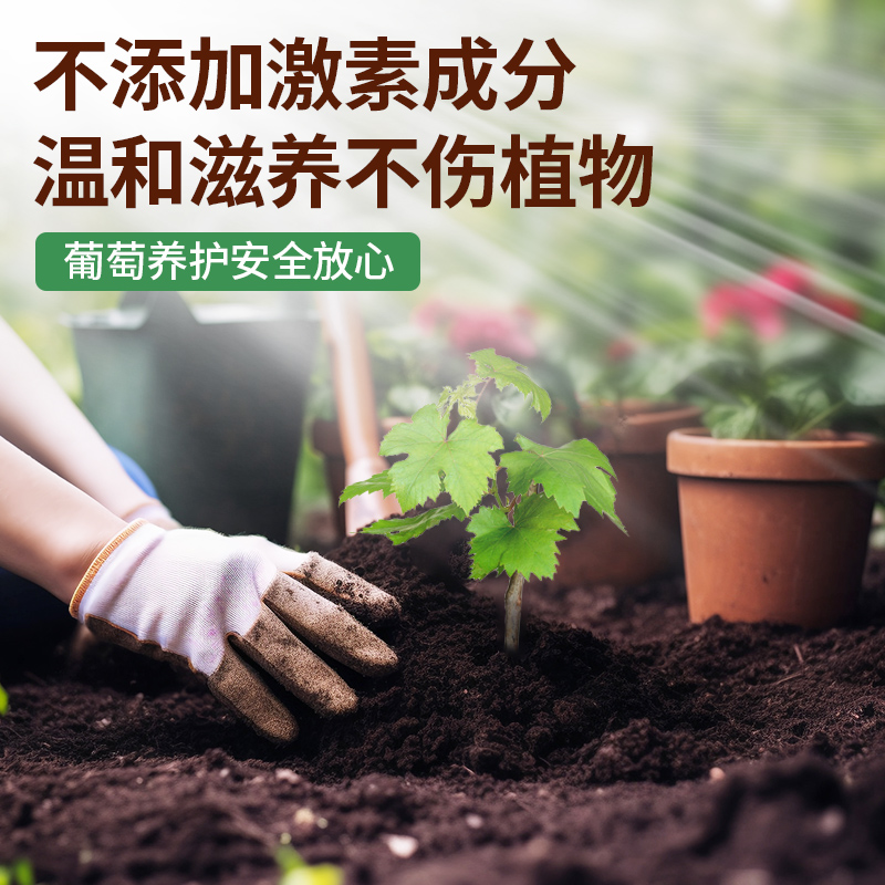 坤宁王葡萄树专用肥料保花保果 防落果裂果大小粒增甜通用型肥料 - 图3