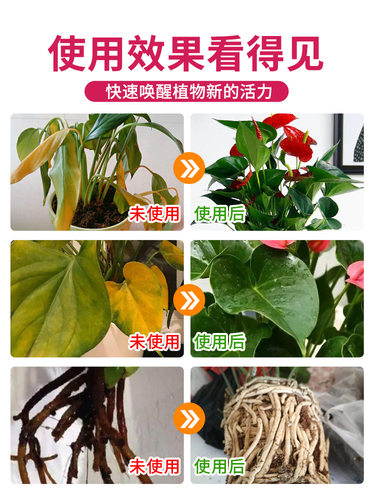 红掌专用免稀释营养液植物活力促生长绿植生根氮磷钾肥料液体肥料 - 图3