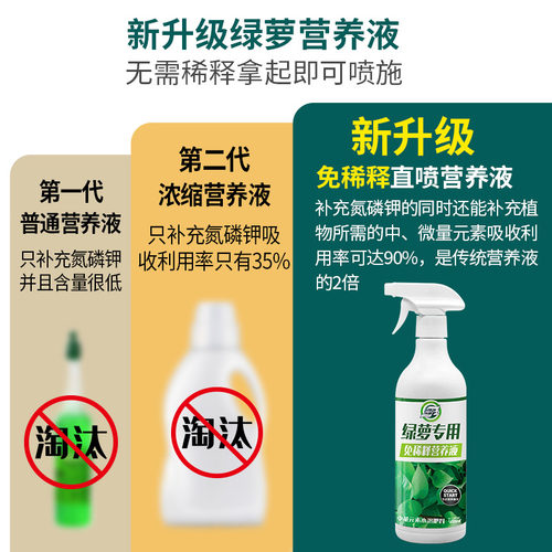 绿萝专用营养液免稀释绿萝肥料专用肥绿箩肥料家用花卉盆栽液体肥 - 图1