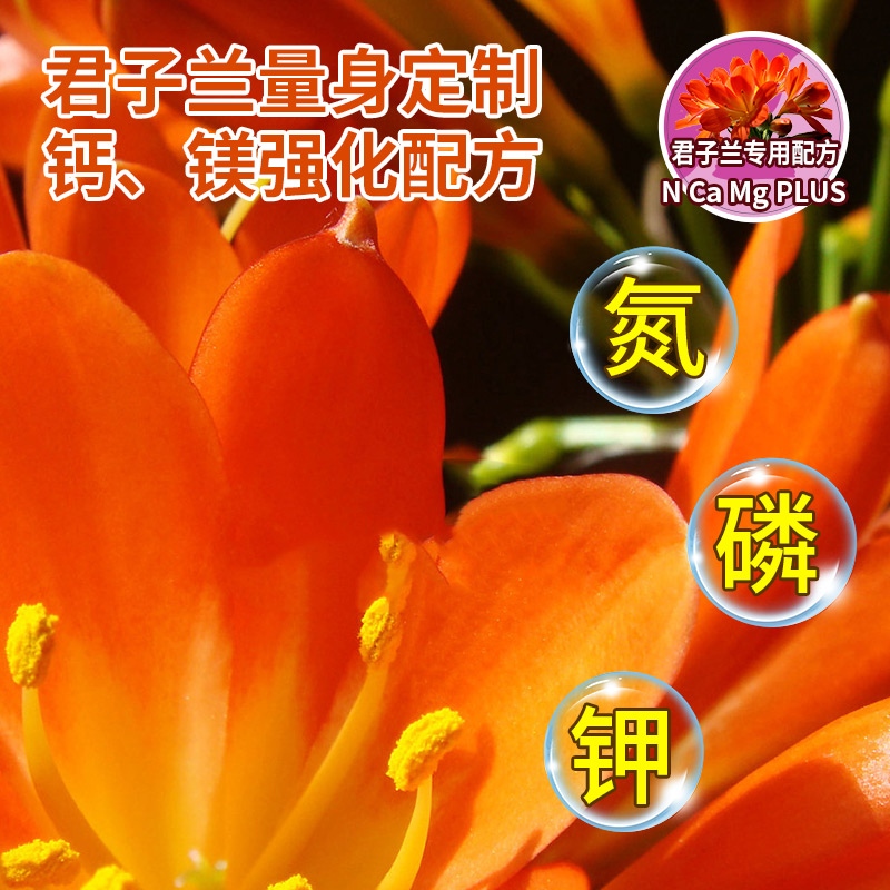免稀释君子兰肥料专用肥料即喷家用兰花营养液促开花催花通用盆栽,淘宝优惠券,粉丝福利购,淘宝优惠卷