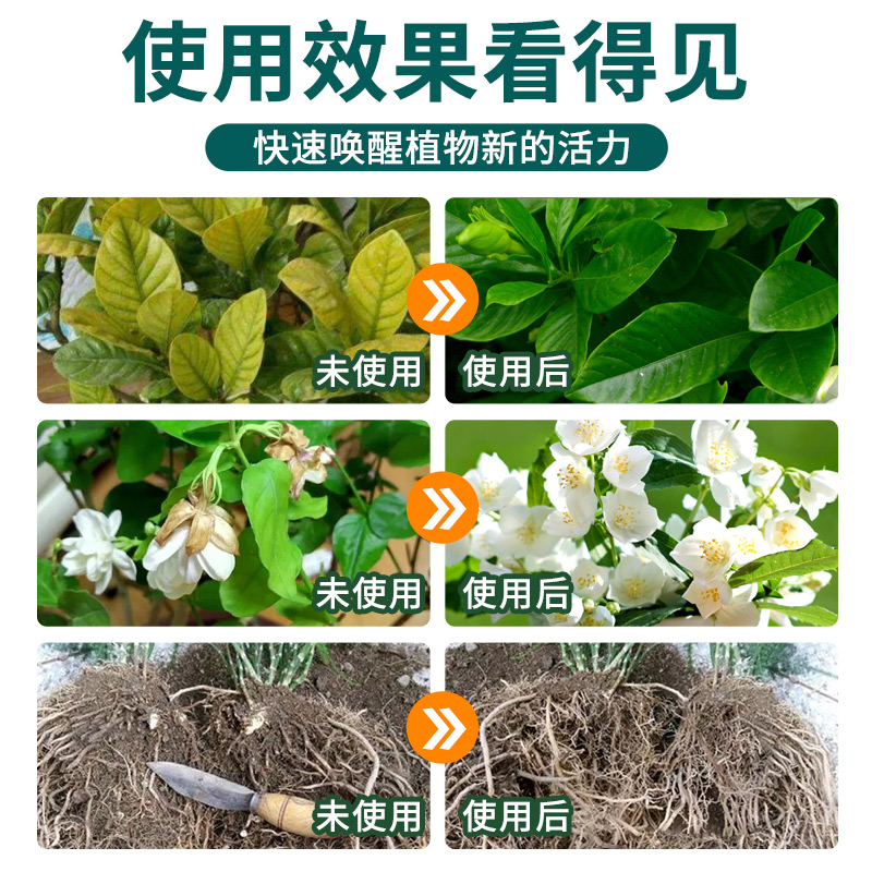 免稀释茉莉花专用营养液家用促开花卉盆栽喜酸植物液体肥花肥料 - 图3