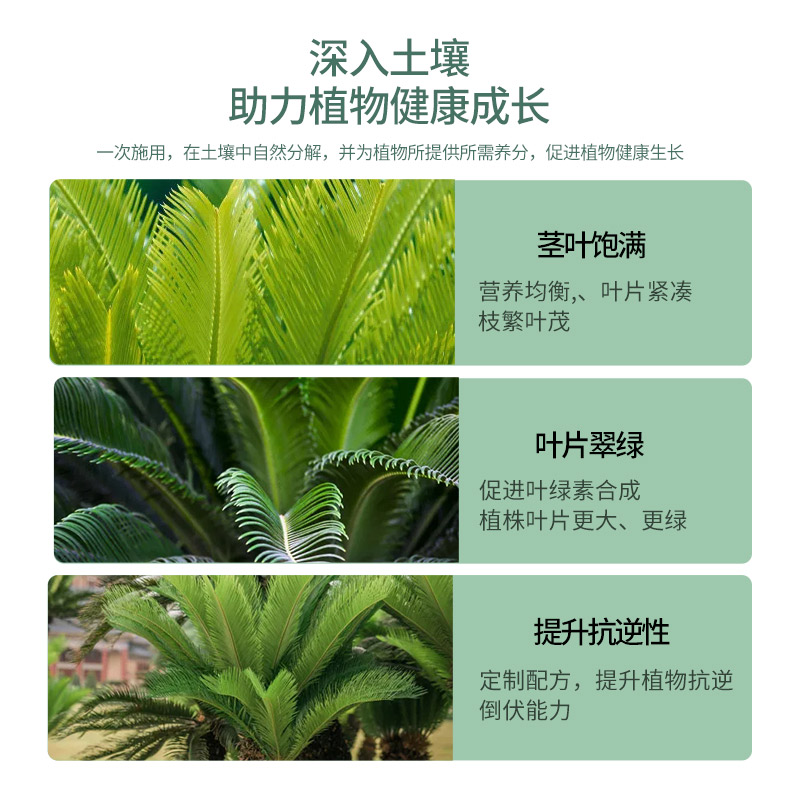 坤宁王铁树专用肥料营养液家用盆栽肥料绿植物通用型氮磷钾复合肥 - 图2