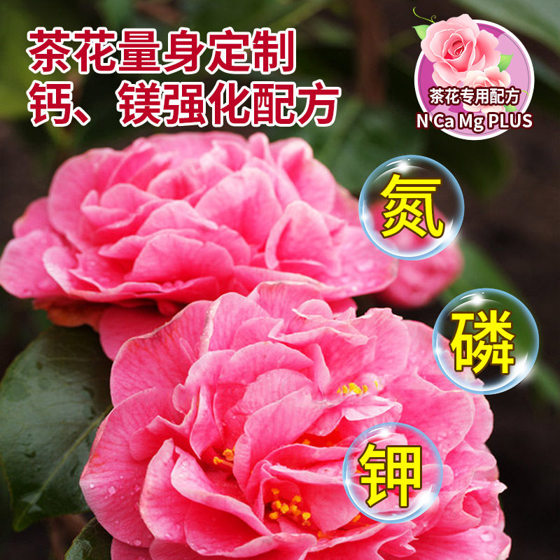 茶花肥料专用肥免稀释营养液山茶花茉莉栀子杜鹃喜酸植物盆栽家用,淘宝优惠券,粉丝福利购,淘宝优惠卷