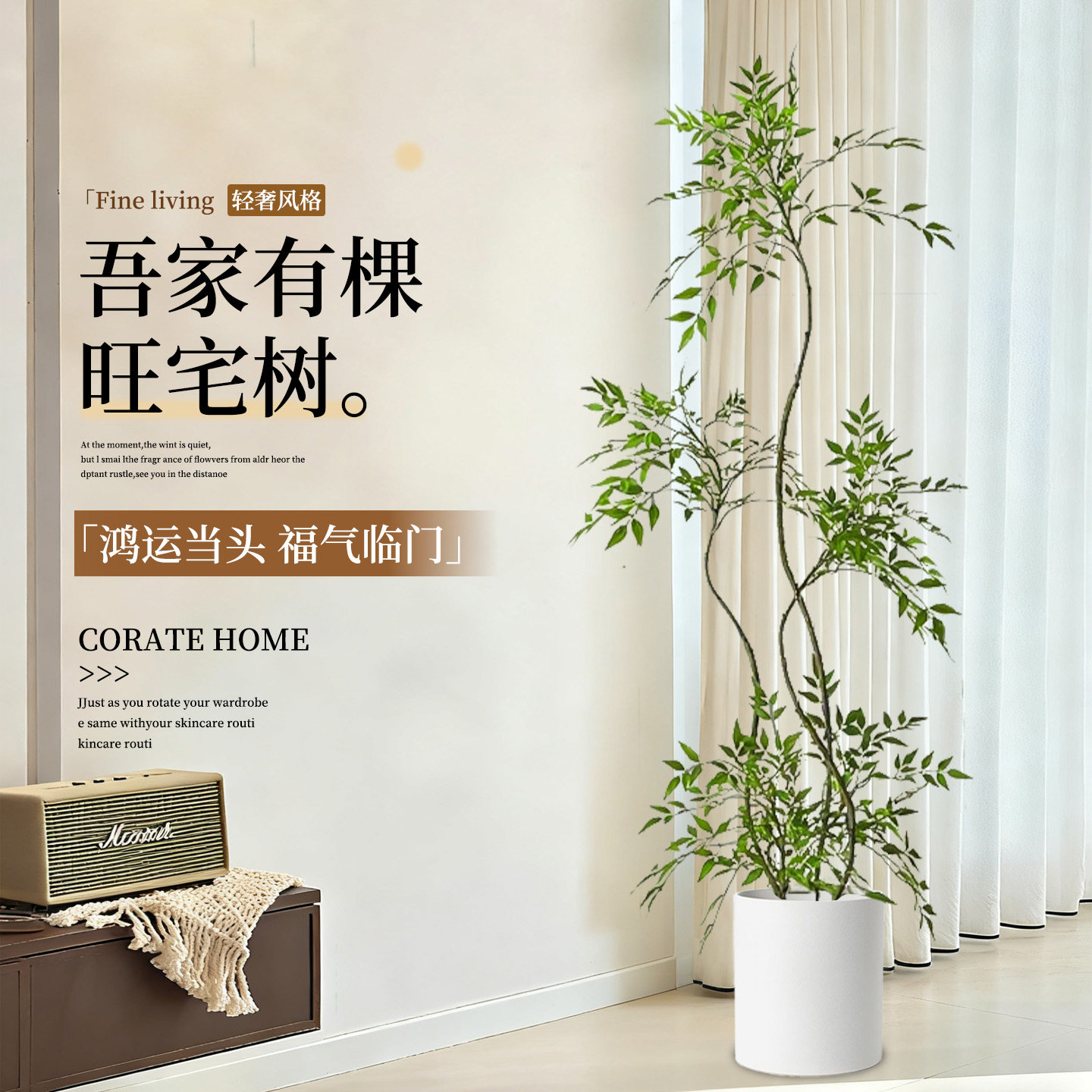 南天竹盆栽客厅大型绿植真树火焰红老桩办公室内高级感落地式大号,淘宝优惠券,粉丝福利购,淘宝优惠卷