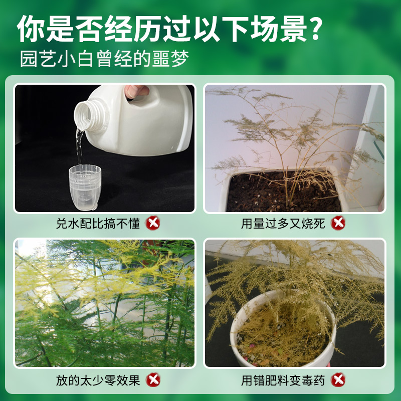 免稀释文竹专用营养液肥料家用盆栽植物液体肥室内养花绿植通用型 - 图0