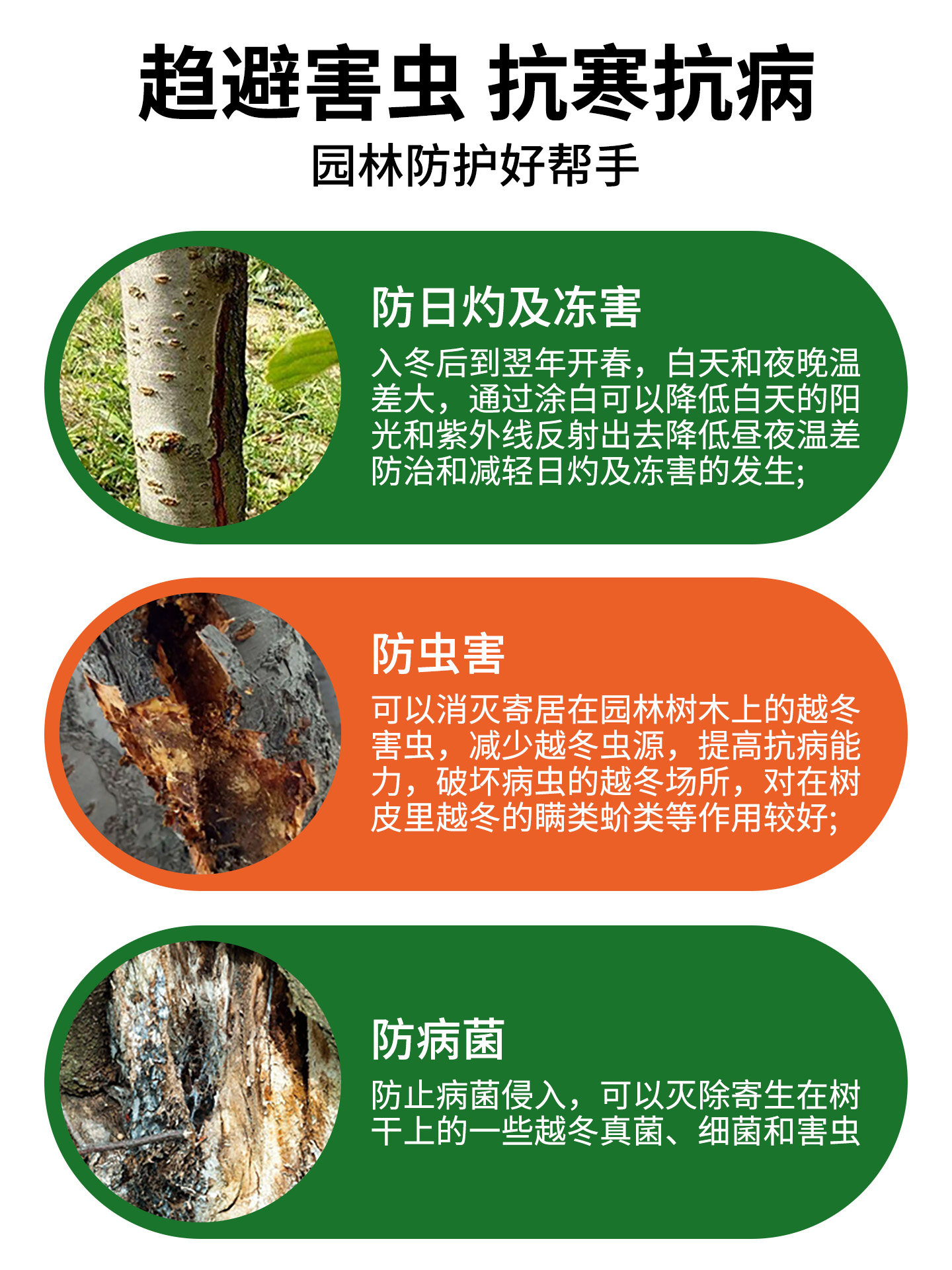 果树树木涂白剂树干防虫防冻杀菌盆景过冬保护白灰冬季石灰粉刷树,淘宝优惠券,粉丝福利购,淘宝优惠卷