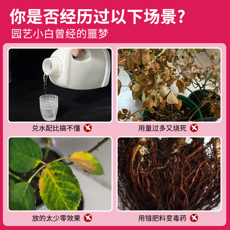 月季专用营养液免稀释月季花肥料促花养花玫瑰花蔷薇花肥料专用肥 - 图0