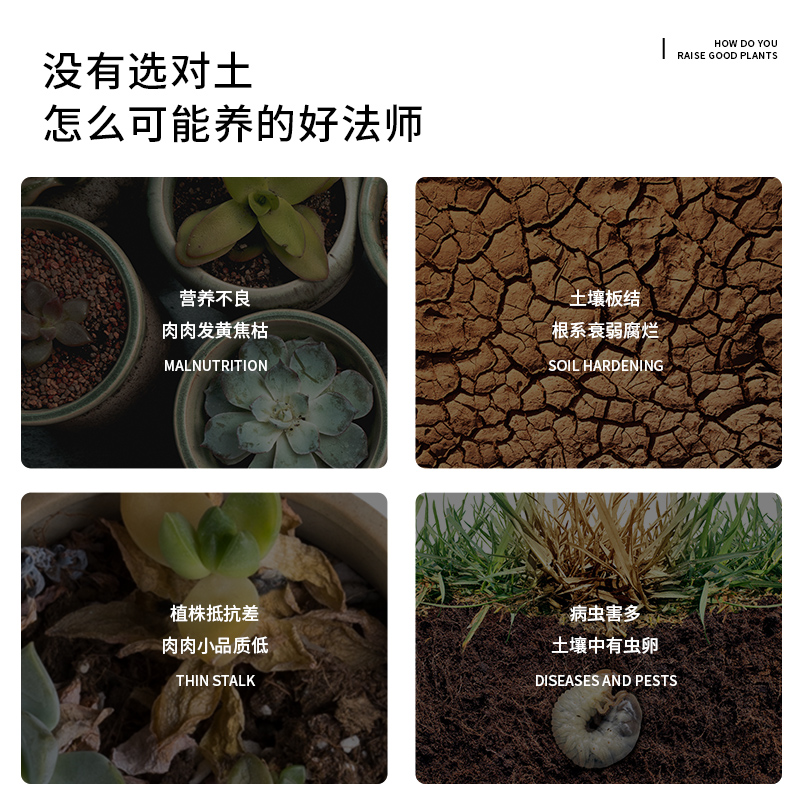 多肉法师专用营养土颗粒土肉肉植物种植土壤通用型家用盆栽泥炭土 - 图0