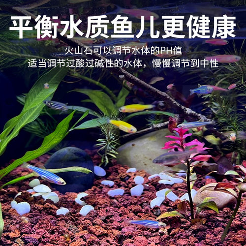 火山石底沙小颗粒鱼缸专用免洗造景滤材火山石养鱼专用溪流石 - 图1