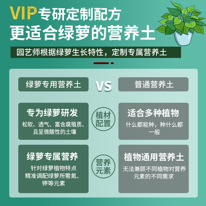 绿萝营养土种花养花绿萝专用土壤肥料家用盆栽花卉土有机种植泥土-图1