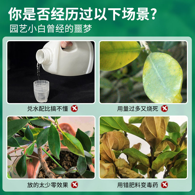 榕树营养液免稀释肥料专用肥黄金榕人参榕小叶榕树盆景通用营养液,淘宝优惠券,粉丝福利购,淘宝优惠卷