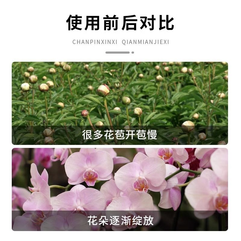 蝴蝶兰专用营养液促开花治黑斑防烂根兰科植物盆栽专用有机水溶肥,淘宝优惠券,粉丝福利购,淘宝优惠卷