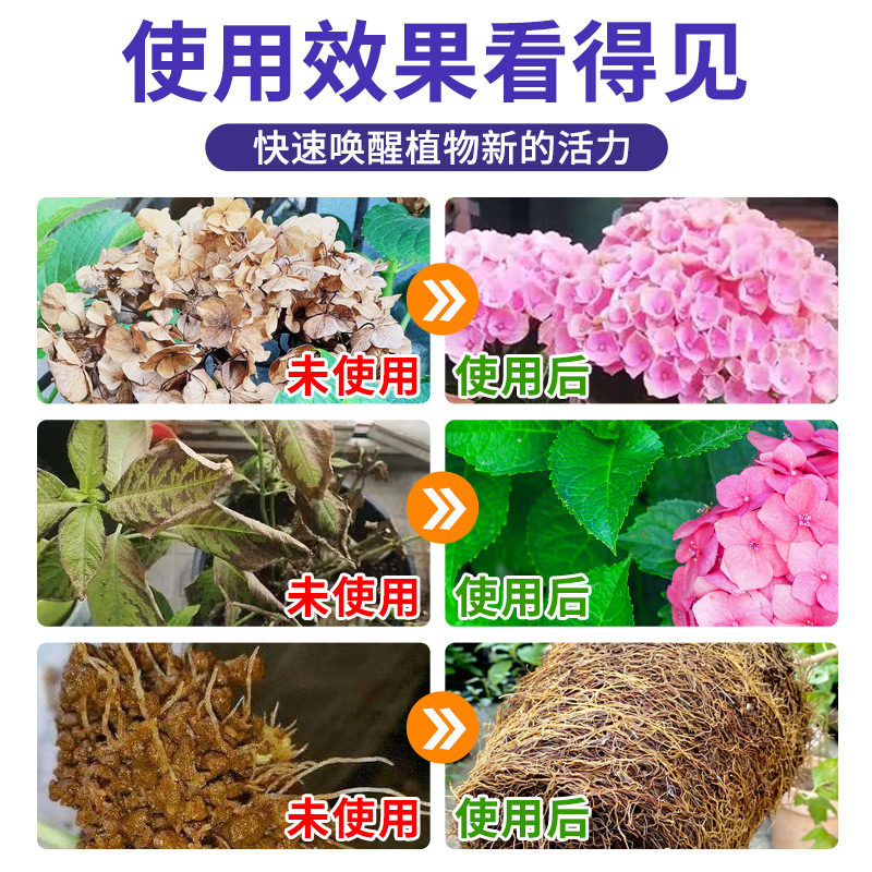 免稀释绣球花肥料花肥喷施保鲜液通用型酸性植物营养液绣球调蓝剂,淘宝优惠券,粉丝福利购,淘宝优惠卷