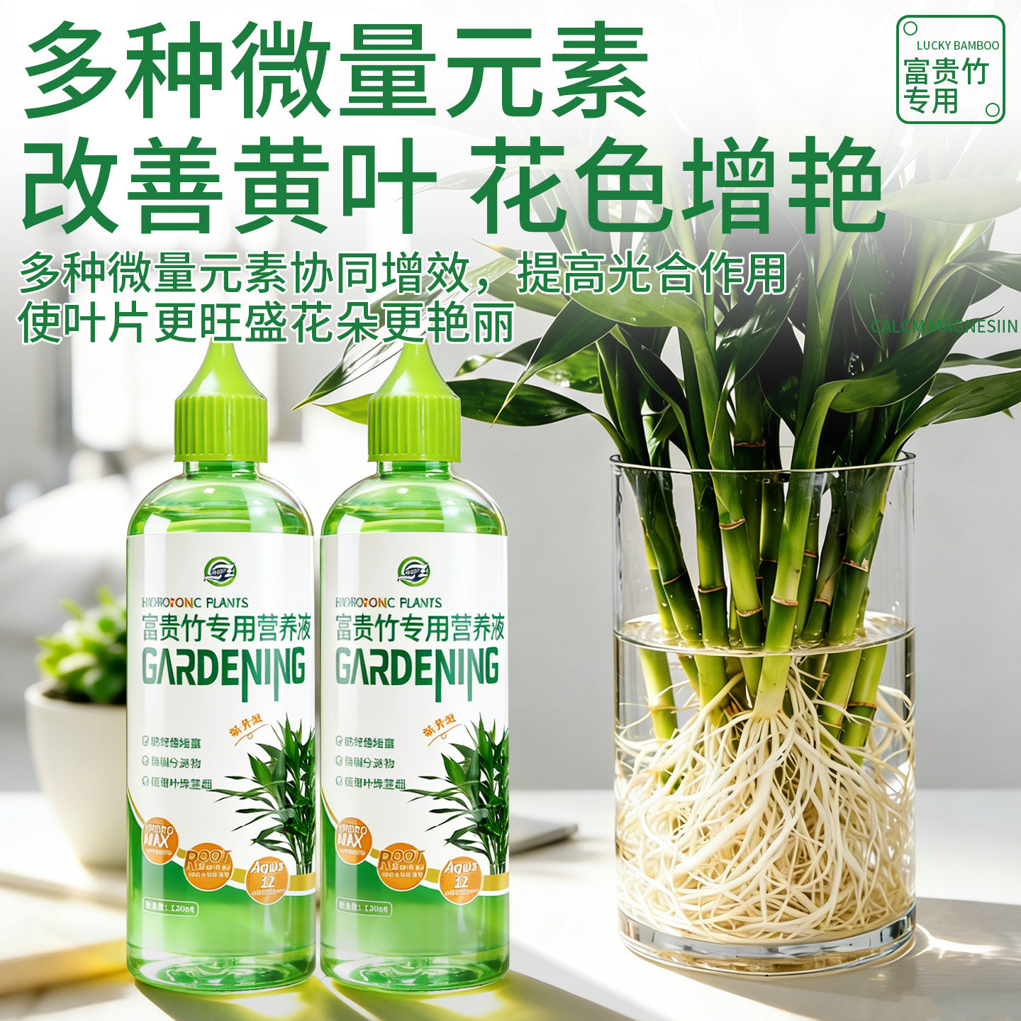 富贵竹水培专用营养液植物通用型盆栽壮根治发黄增亮水培植物肥料,淘宝优惠券,粉丝福利购,淘宝优惠卷