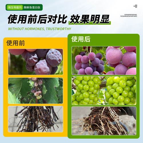 鱼蛋白水溶肥料微生物菌剂酶解氨基酸瓜果蔬菜通用冲施喷雾叶面肥 - 图0