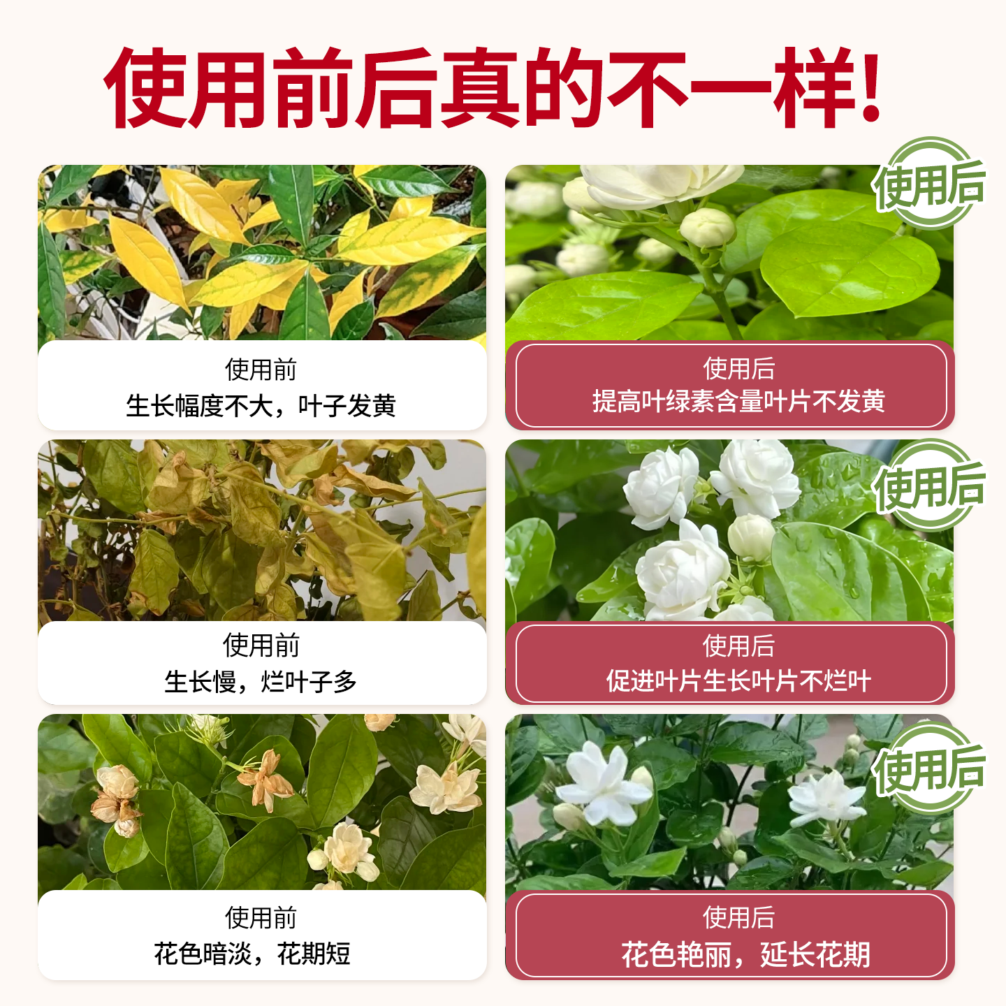 茉莉花专用植物营养液喜酸性植物花卉盆栽专用促开生根延长花期,淘宝优惠券,粉丝福利购,淘宝优惠卷