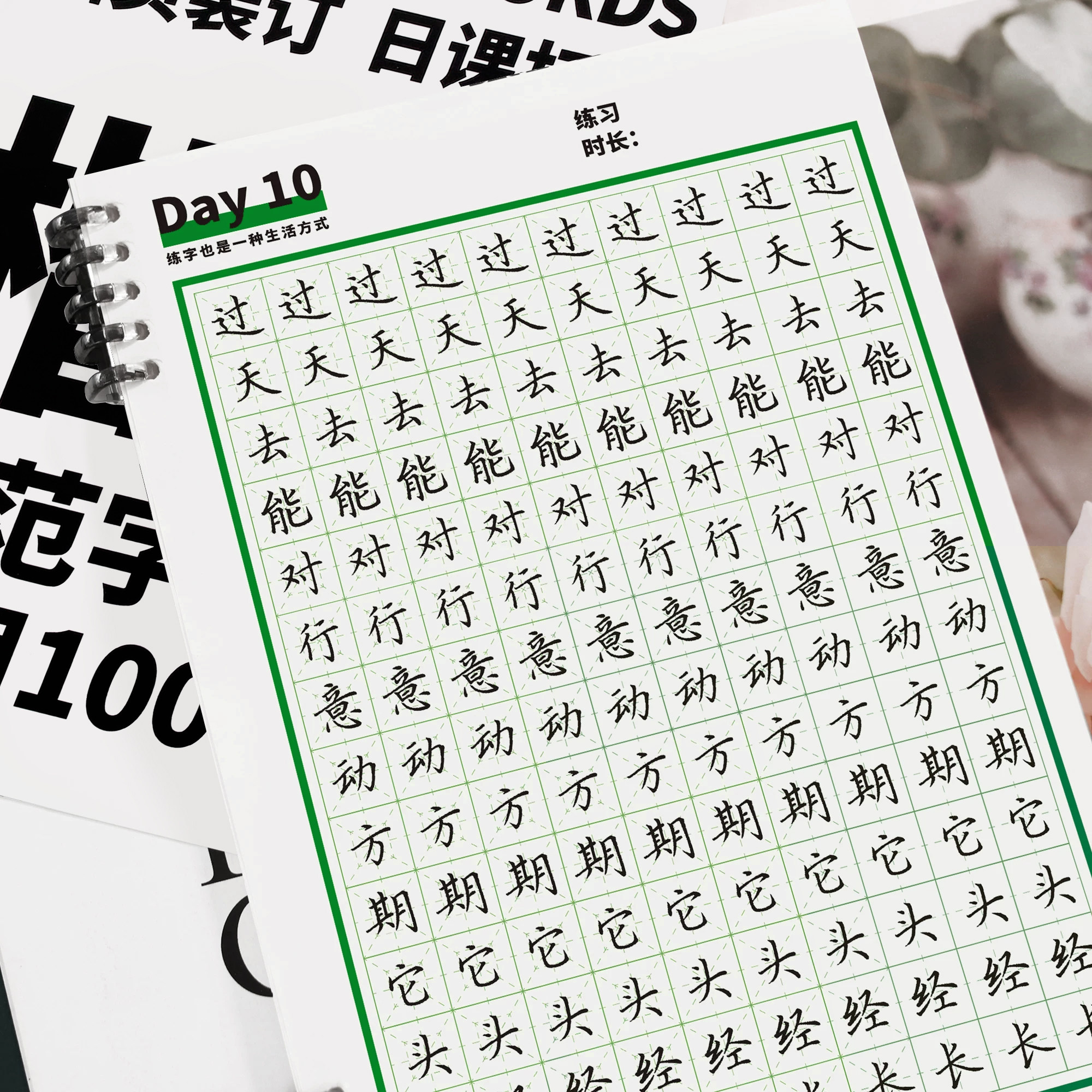 一起练字楷书字帖成人练字专用活页日课字帖常用1000字硬笔书法入门大学生成年规范字小学生字体成人硬笔字帖临摹描红本正楷书法纸