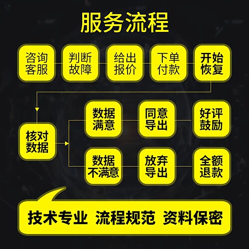 电脑固态机械移动硬盘数据恢复维修服务U盘内存sd卡文件损坏修复 - 图2