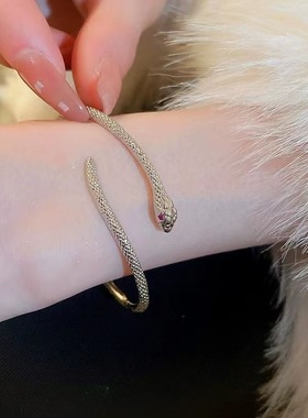 蛇形手镯女小众设计高级感冷淡风个性简约百搭气质开口灵蛇银色