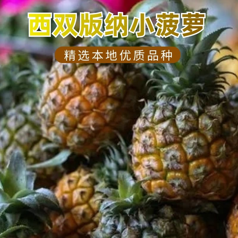 西双版纳菠萝干纯手工水果片软糯酸甜孕妇宝宝零食云南特产凤梨干