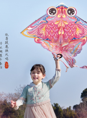 亲子出游草原风筝玩具女孩