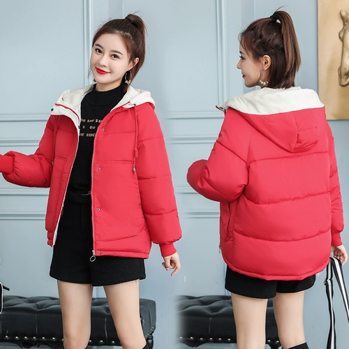 Короткий демисезонный пуховик с пухом, куртка, в корейском стиле