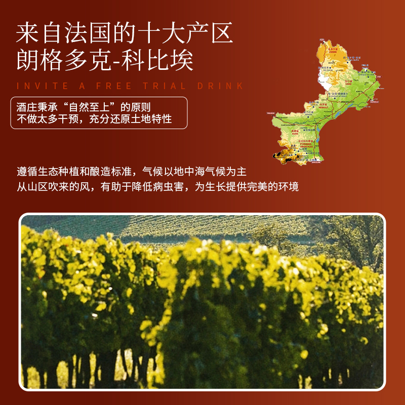 赤霞珠干红葡萄酒礼盒装半甜型女生微醺煮热红酒官方正品旗舰店