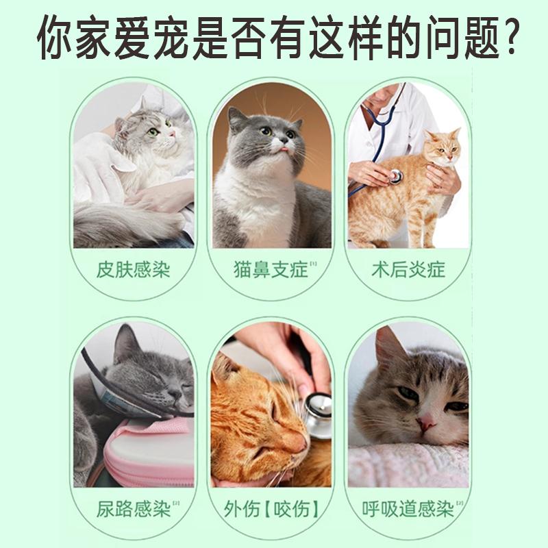 宠物狗狗猫咪猫感冒鼻支膀胱炎感染伤口消炎药口炎咳嗽阿莫西林