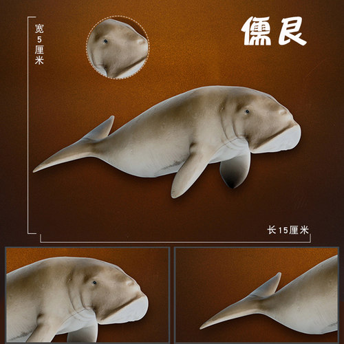 林畅模玩史前海洋动物玩具巨儒艮模型仿真大海牛远古时代巨兽生物 - 图1