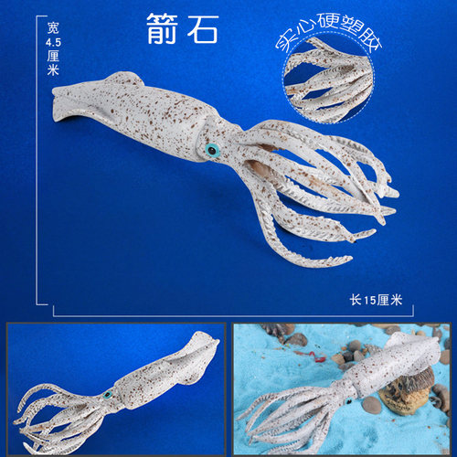 林畅模玩史前海洋生物巨箭石模型泥盆纪动物远古鱿鱼儿童仿真玩具 - 图1