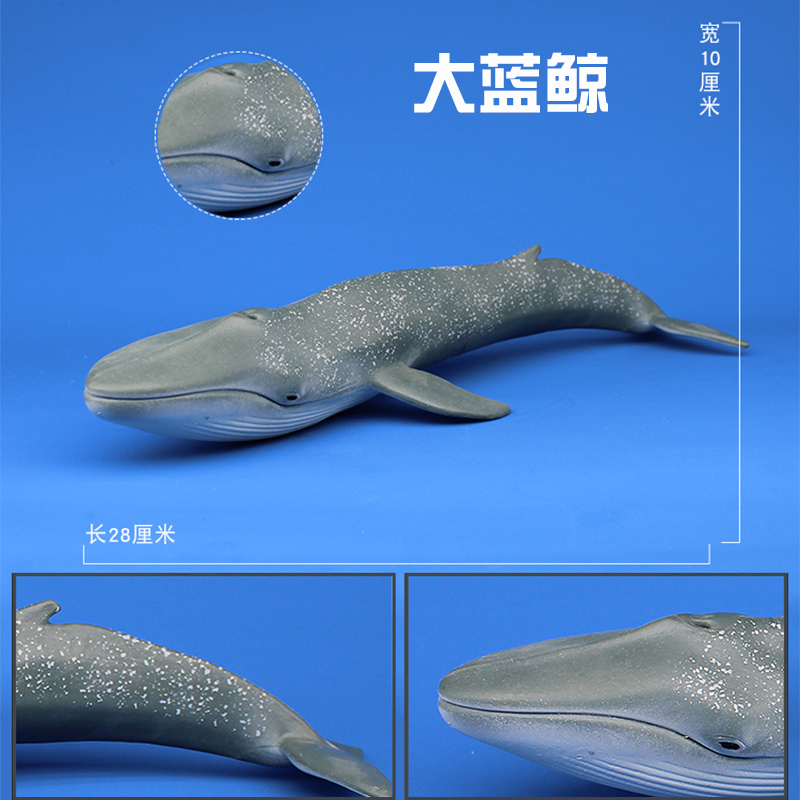 林畅海洋世界生物仿真动物蓝鲸模型大号鲸鱼鲨鱼套装儿童玩具男孩 - 图1