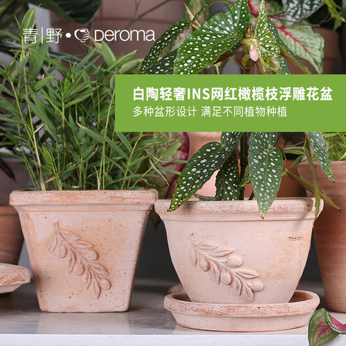 Deroma帝罗马天然陶土橄榄枝浮雕阳台落地大口径陶盆多肉进口花盆 - 图0