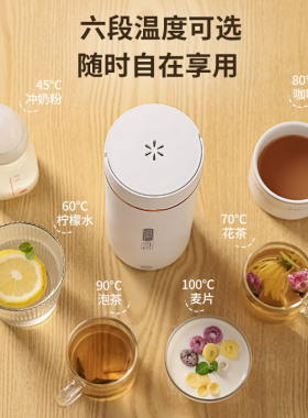 出国电热杯小型便携式电加热水杯