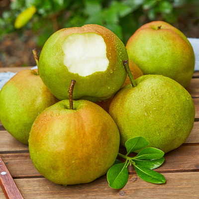 果园直发玉露酥香梨脆甜无渣