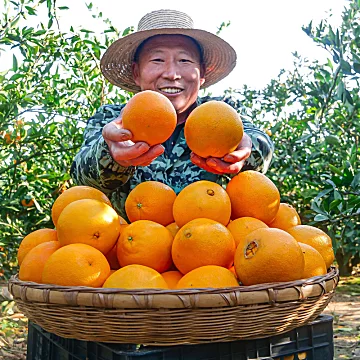 帮农日记！正宗江西赣南脐橙净重4.5斤[20元优惠券]-寻折猪