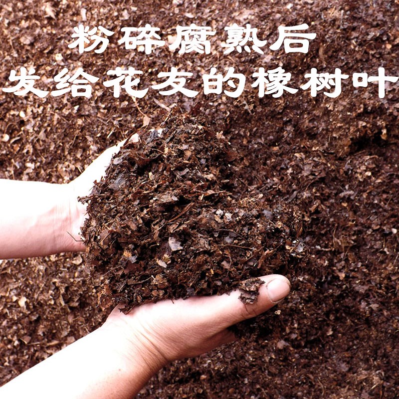 兰花专用松针土橡树叶腐叶腐熟松针多肉无土纯松针天然有机营养土