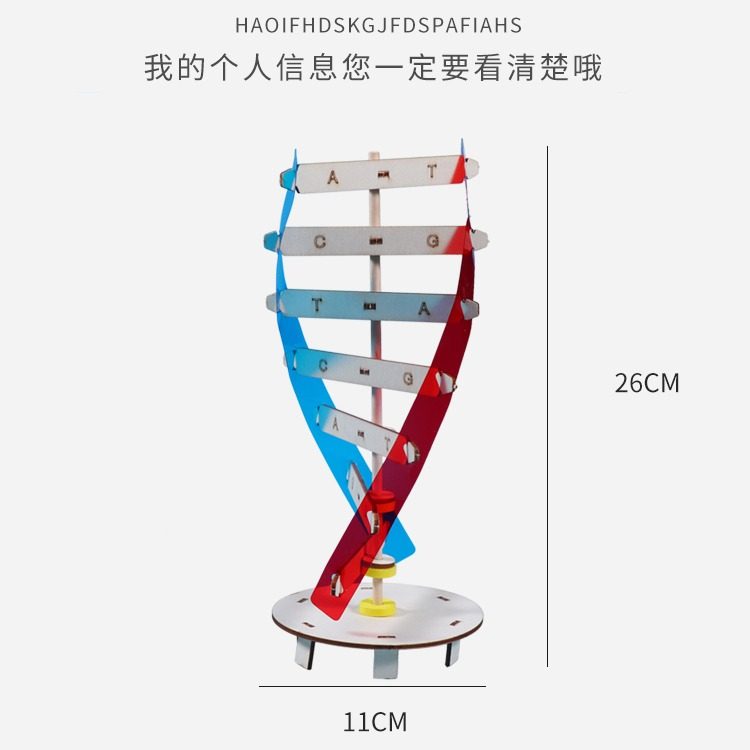 DNA双螺旋结构模型儿童手工DIY人体遗传基因小学生物科学实验玩具,淘宝优惠券,粉丝福利购,淘宝优惠卷