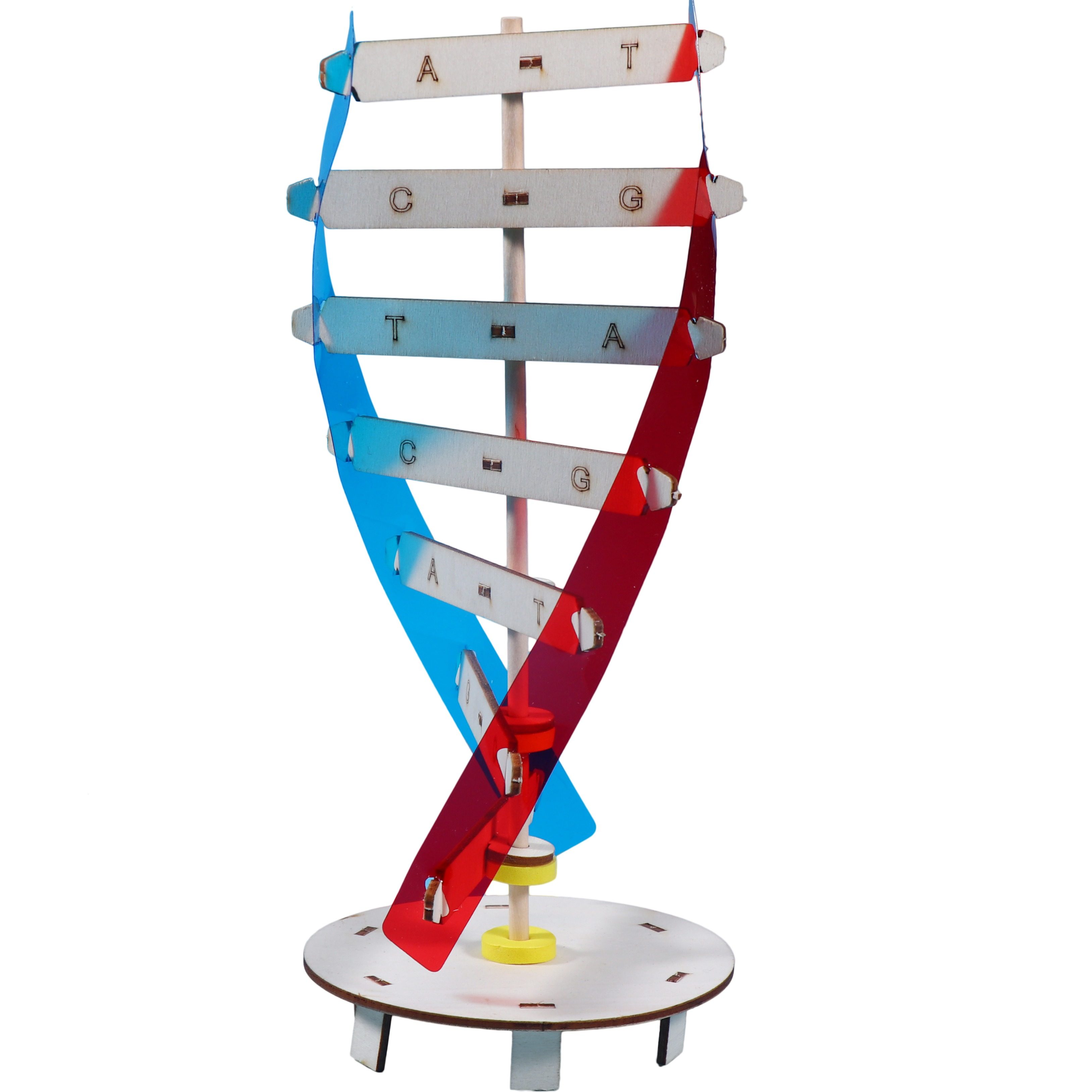 DNA双螺旋结构模型儿童手工DIY人体遗传基因小学生物科学实验玩具,淘宝优惠券,粉丝福利购,淘宝优惠卷