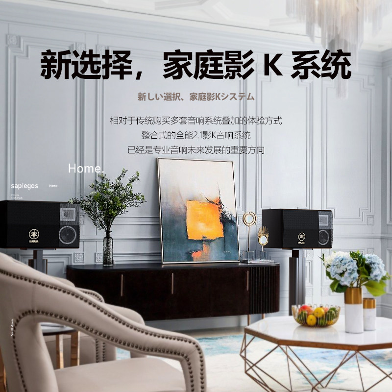 雅马哈家庭ktv套装全套家用音响 新港湾影音KTV/卡拉OK音箱