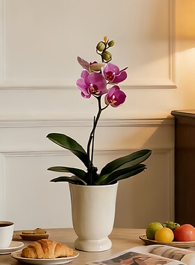 陶瓷花瓶桌面小号复古风高