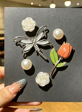 【卡洛驰专柜白鹿同款鞋花】