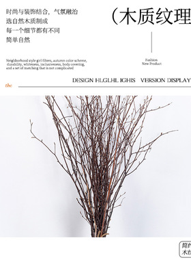 天然白桦树枝原生态树枝造型户外庭院造景墙面摆件家居插花瓶装饰