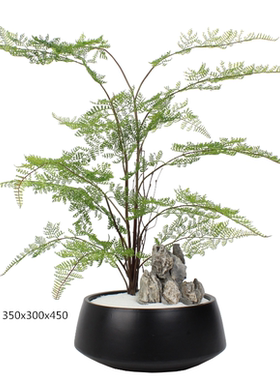 新中式风绿植软装会所茶室盆景