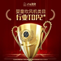 Pint baby hair dryer Baby low radiation thermostatic electric blow children blow up fart negative ions