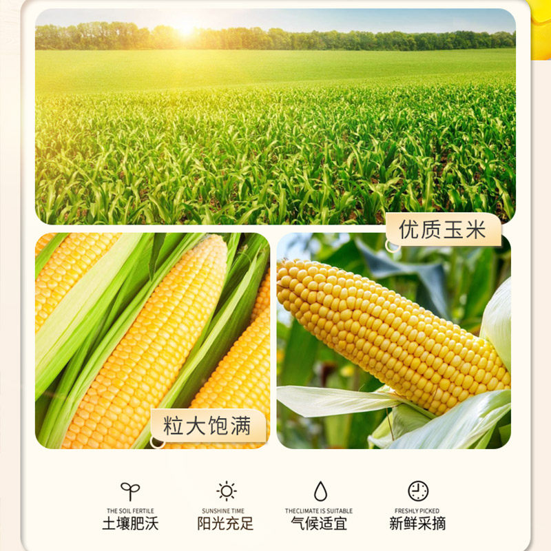 金龙鱼纯正玉米油4L*2桶装非转基因家用商用压榨植物油烘焙,淘宝优惠券,粉丝福利购,淘宝优惠卷